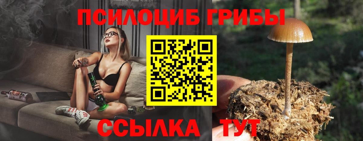Псилоцибиновые грибы GOLDEN TEACHER Абакан
